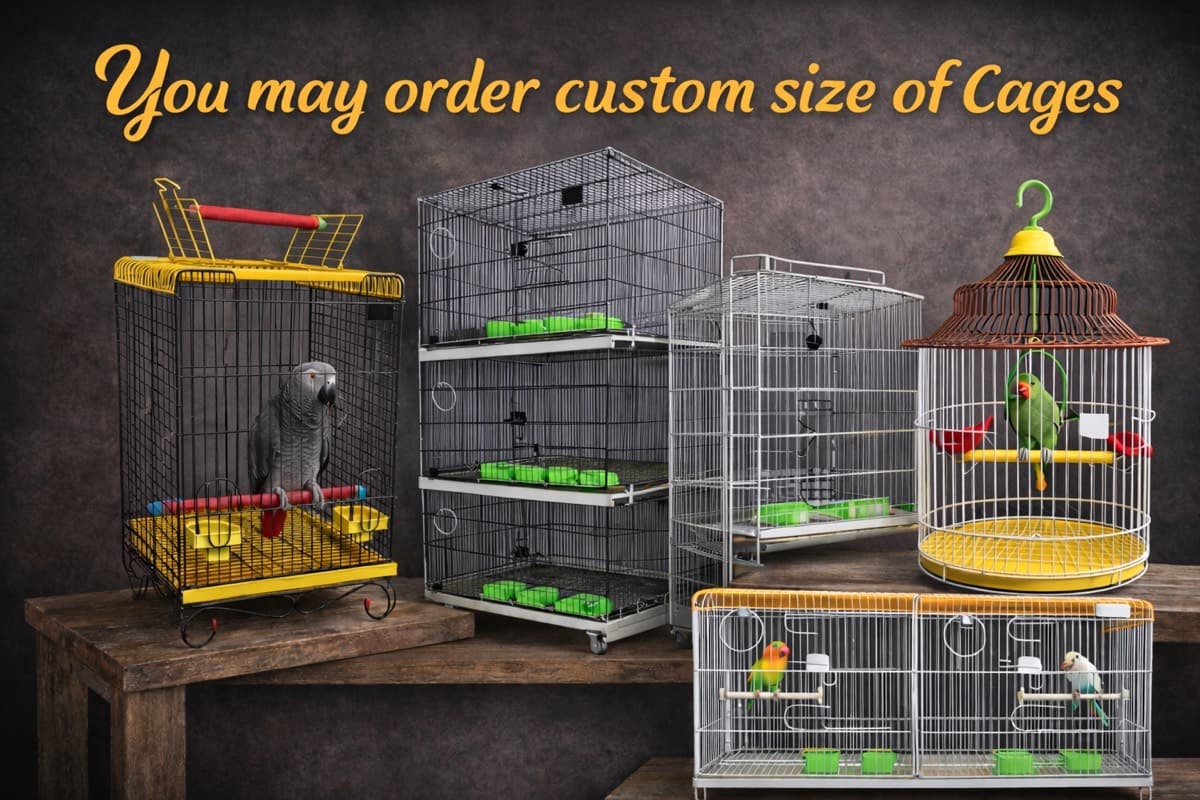 Bird & Animal Cages